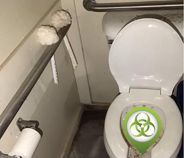 A dirty toilet with a sewer icon covering the toilet bowl and some railings on the wall. 