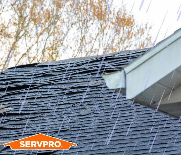 Roof shingles with rain overlay and SERVPRO logo 